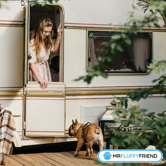 Uitgelichte afbeeldingen voor de blog “De beste hond voor campervan life: complete gids”, met een vrouw en een Franse bulldog die via een open deur een camper binnenlopen