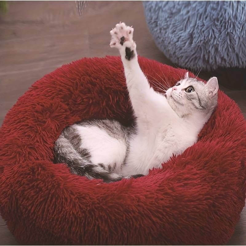 MrFluffyFriend - De Beste Kattenmanden Voor Het Verlichten Van Angst