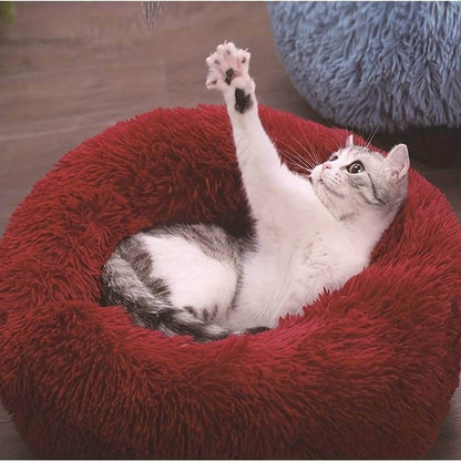 MrFluffyFriend - De Beste Kattenmanden Voor Het Verlichten Van Angst