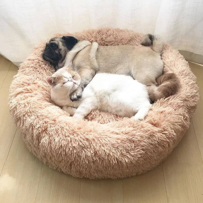 MrFluffyFriend - Het Beste Kattenbed Ter Verlichting Van Angst