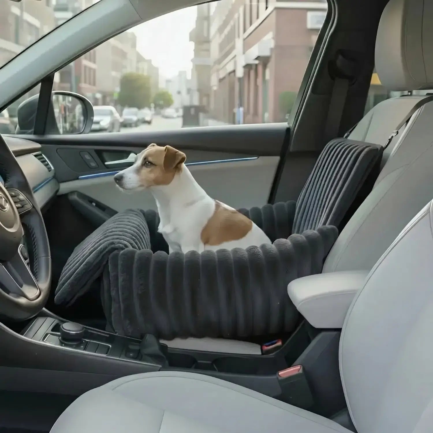 MrFluffyFriend - Beste Autostoeltje Voor Honden