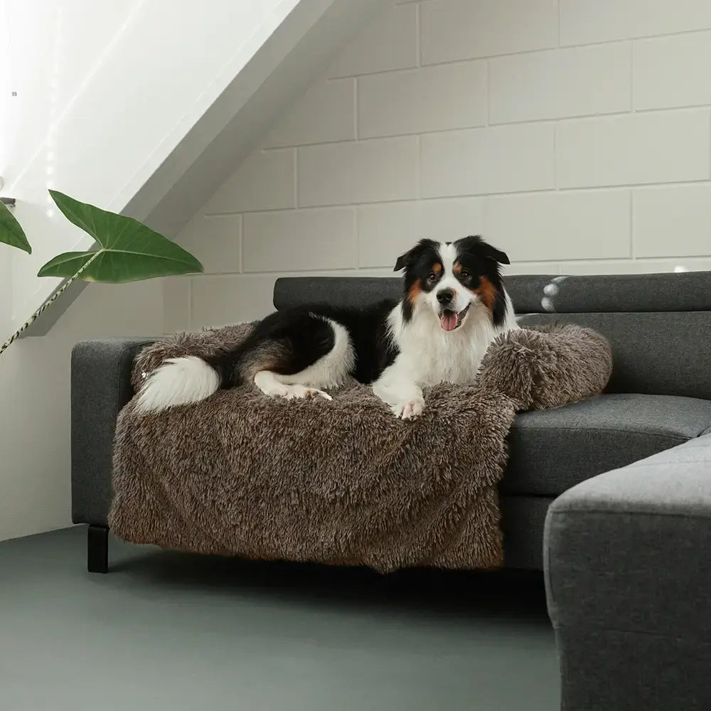 MrFluffyFriend - De Beste Bankhoes Voor Honden