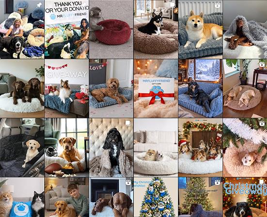 Collage van klantenfoto’s van huisdieren (honden, katten) op MrFluffyFriend-producten