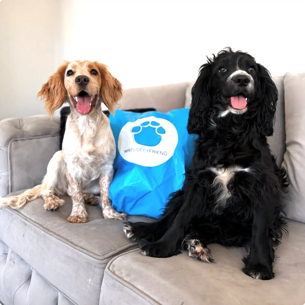 Hoe je jouw MrFluffyFriend-product uitpakt en verzorgt 🐾 