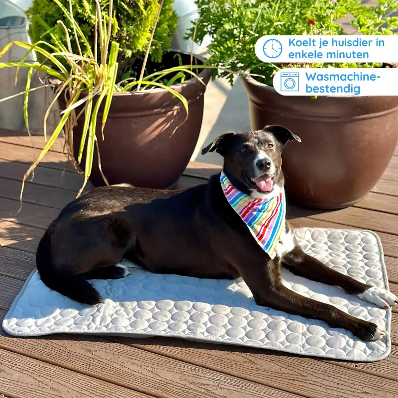 MrFluffyFriend - Koelmat Voor Honden