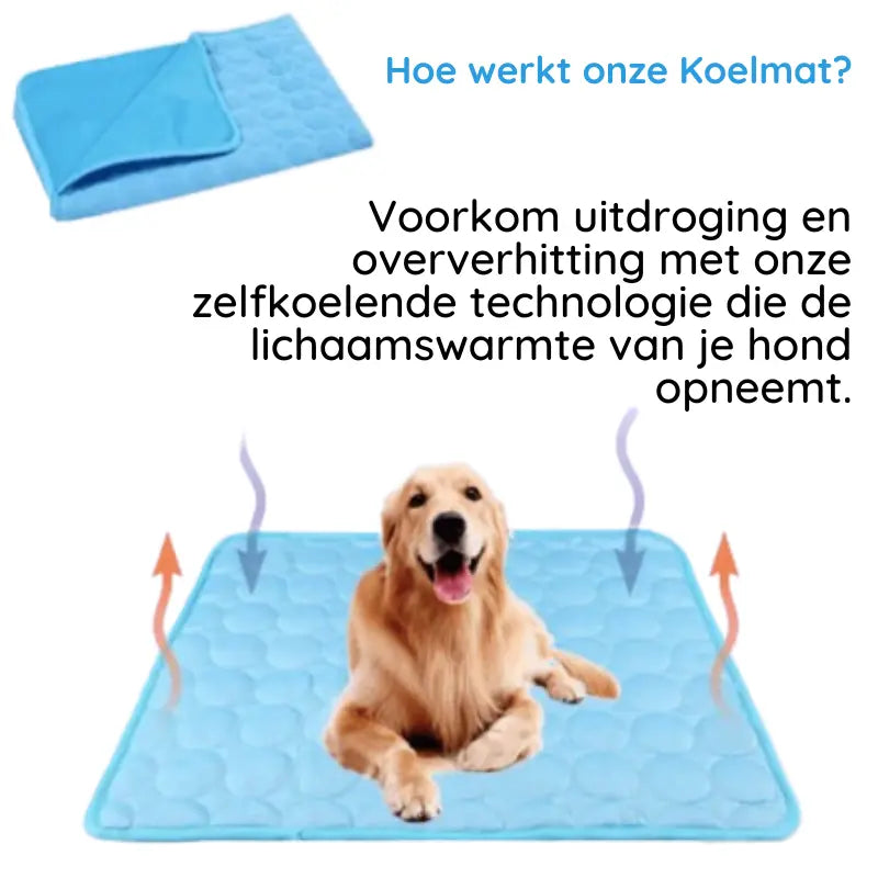 MrFluffyFriend - De Beste Koelmatten Voor Honden