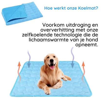 MrFluffyFriend - De Beste Koelmatten Voor Honden
