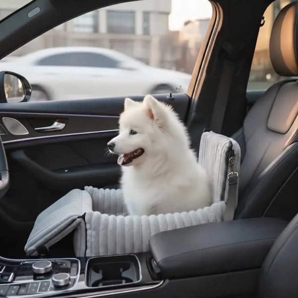 Maak elke autorit veilig en comfortabel voor je hond