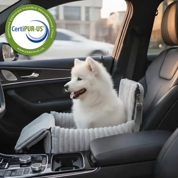 Maak elke autorit veilig en comfortabel voor je hond